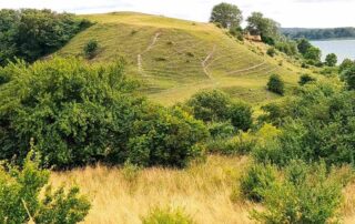 Rosenmetoden_Anja_Huss_Ejby_Ådal_Kursus