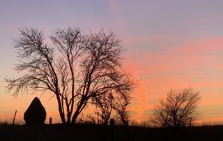 rosenmetoden-anja-huss-kropsterapi-rosenterapi-kursus-massage