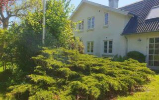 Rosenmetoden_Anja_huss_kursus_Ådalen_kropsterapi